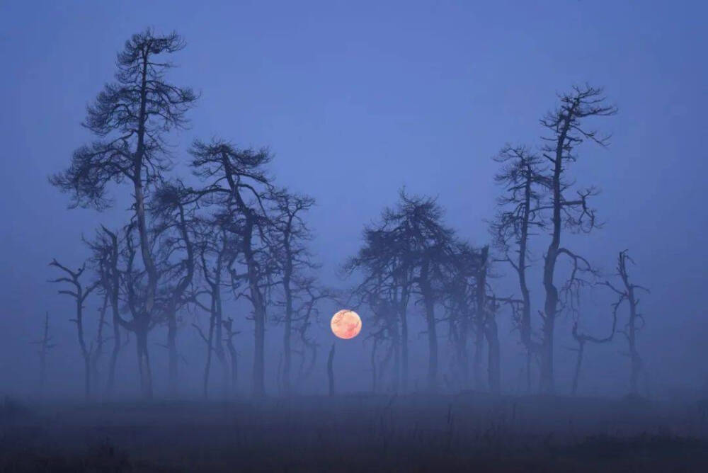 自然风景高清摄影图片