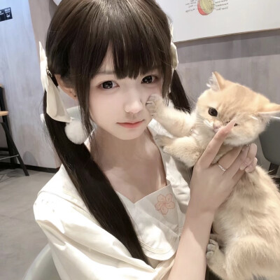 小猫