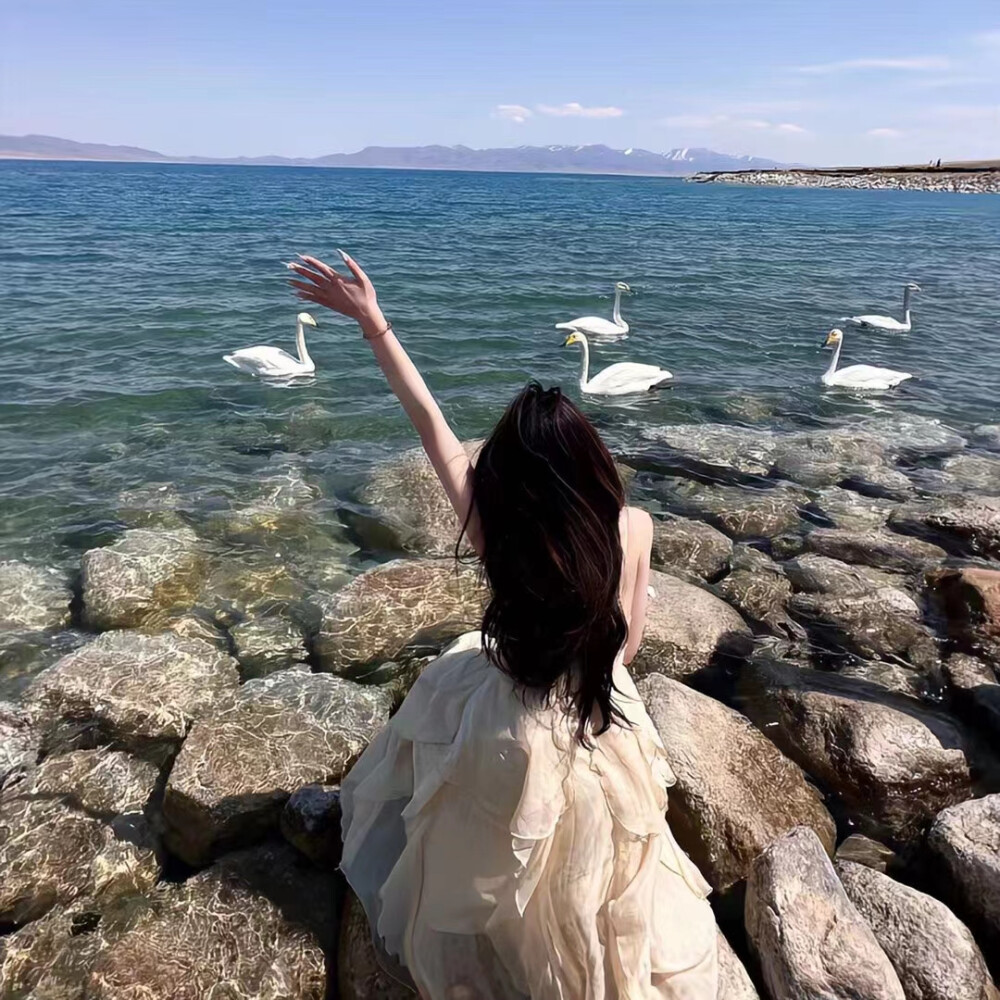 高清图片,堆糖,美图壁纸兴趣社区