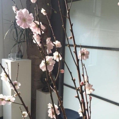 氛围感 小众 背景图 WeChat背景图