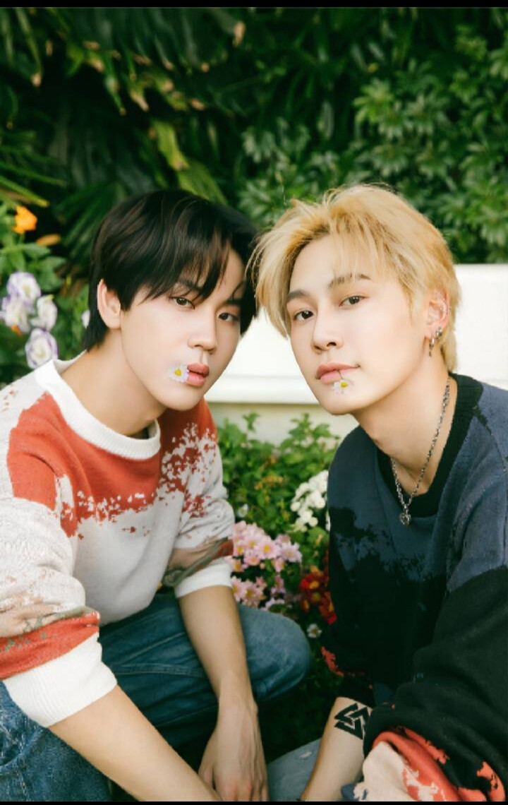 文总包包bounprem