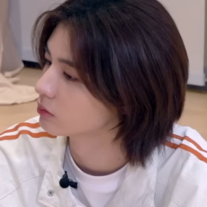 公寓里面不能养宠物