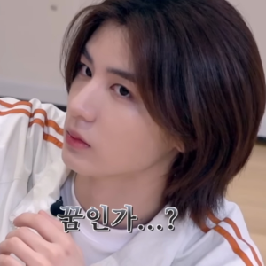 公寓里面不能养宠物