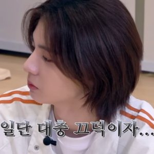 公寓里面不能养宠物