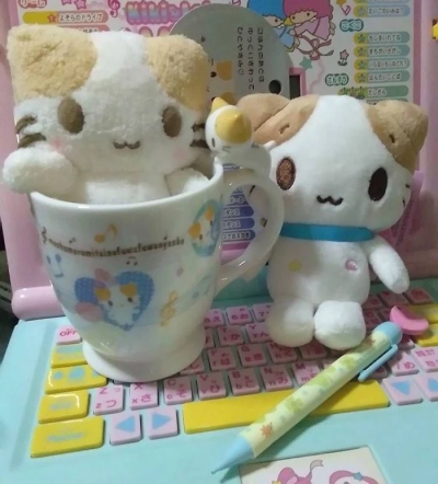 很萌的棉花糖猫宝宝₍˄·͈༝·͈˄*₎◞ ̑̑