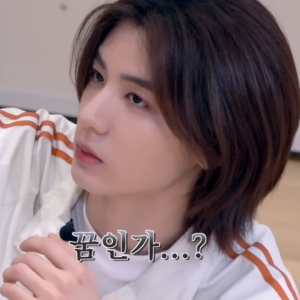 公寓里面不能养宠物