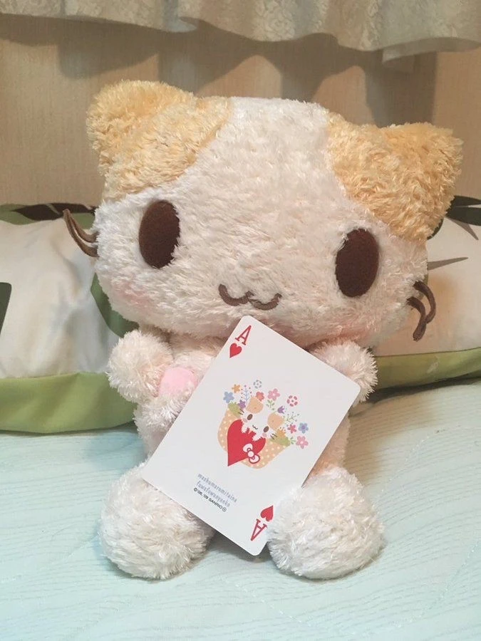 很萌的棉花糖猫宝宝₍˄·͈༝·͈˄*₎◞ ̑̑