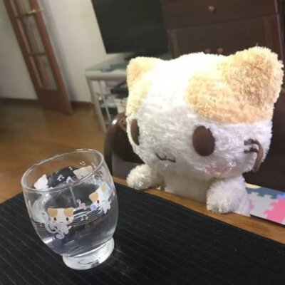 很萌的棉花糖猫宝宝₍˄·͈༝·͈˄*₎◞ ̑̑