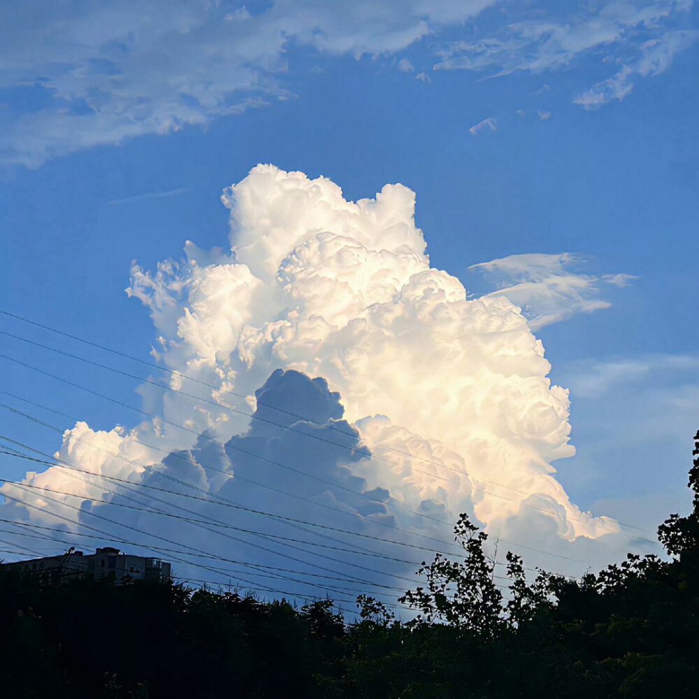 背景·图源微博