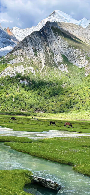 那些个风景