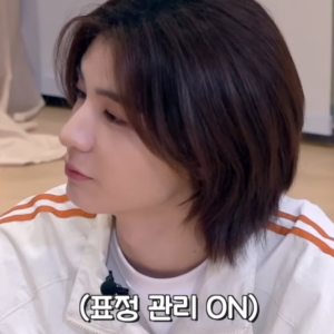 公寓里面不能养宠物