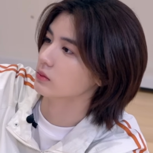 公寓里面不能养宠物