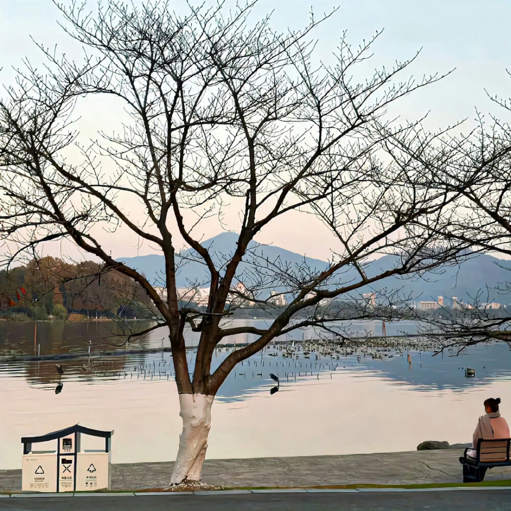 背景·图源微博