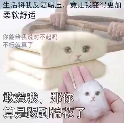  表情包
图源微博