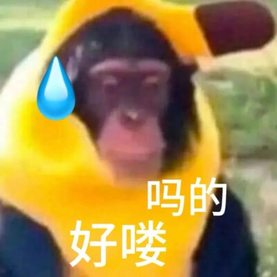 吗喽表情包 - 高清图片，堆糖，美图壁纸兴趣社区