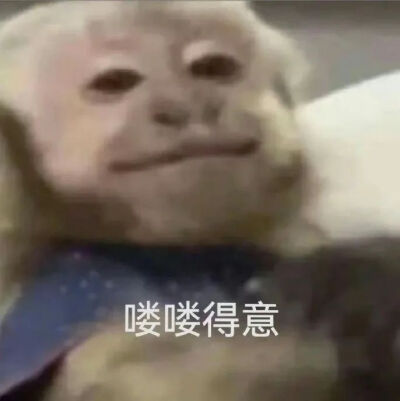 吗喽表情包 - 高清图片，堆糖，美图壁纸兴趣社区