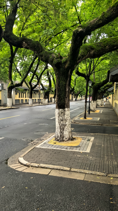 想认识一些友友们 深交d 喜欢e人自来熟且话多的饱饱