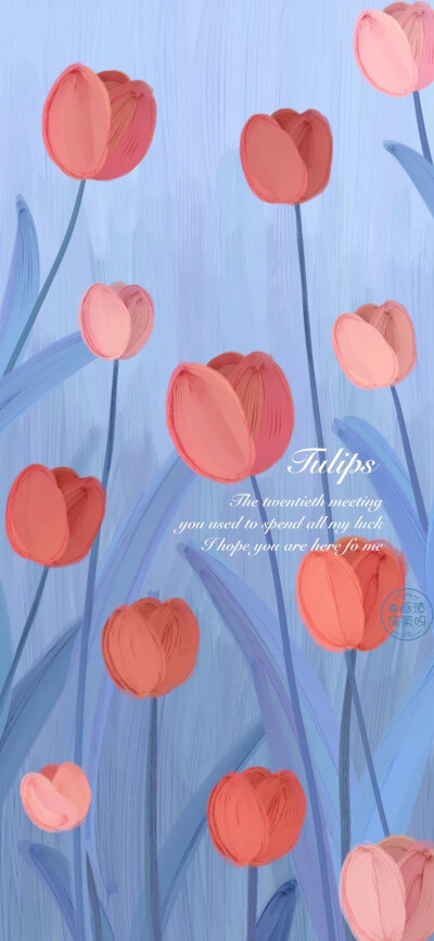 生活越是清简，内心越是绚烂
【壁纸套图】【图源网络/侵删】