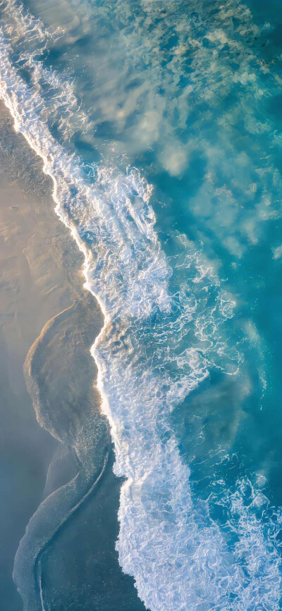 大海
