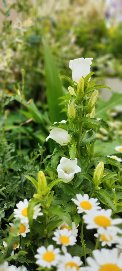 摄影爱好者之收集画画素材