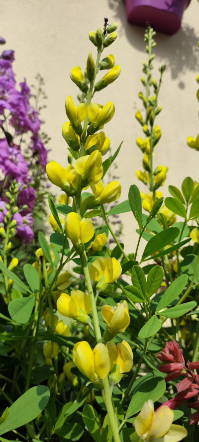 摄影爱好者之收集画画素材