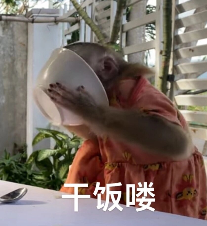 吗喽表情包