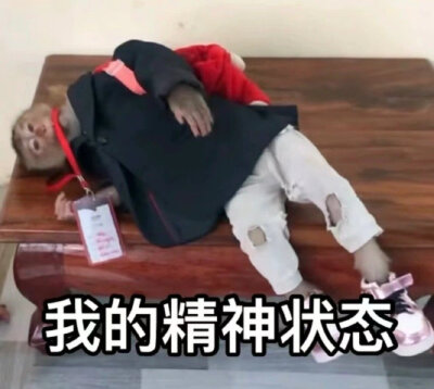 吗喽表情包