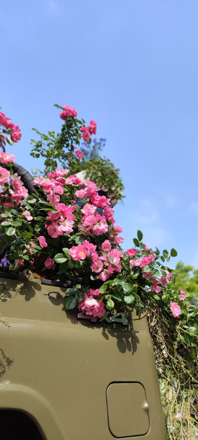 摄影爱好者之收集画画素材