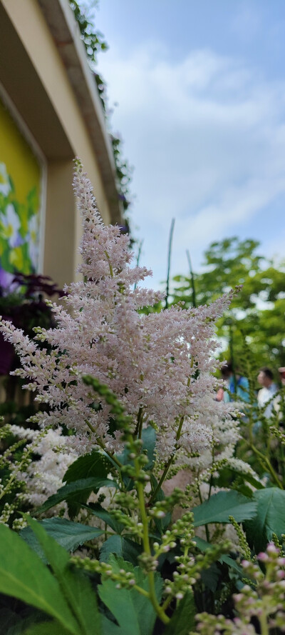 摄影爱好者之收集画画素材