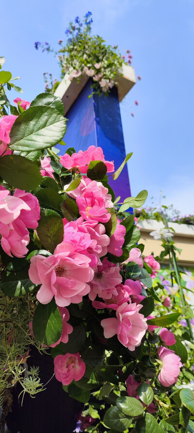 摄影爱好者之收集画画素材