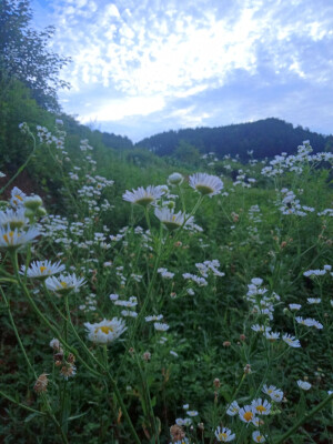 闺蜜拍的风景