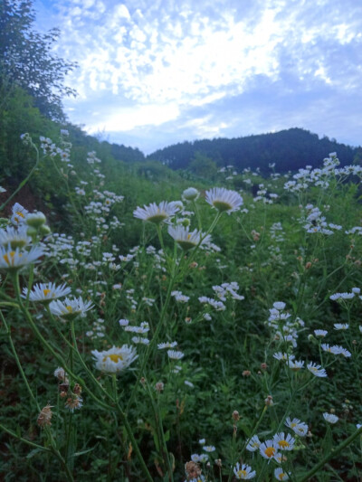 闺蜜拍的风景