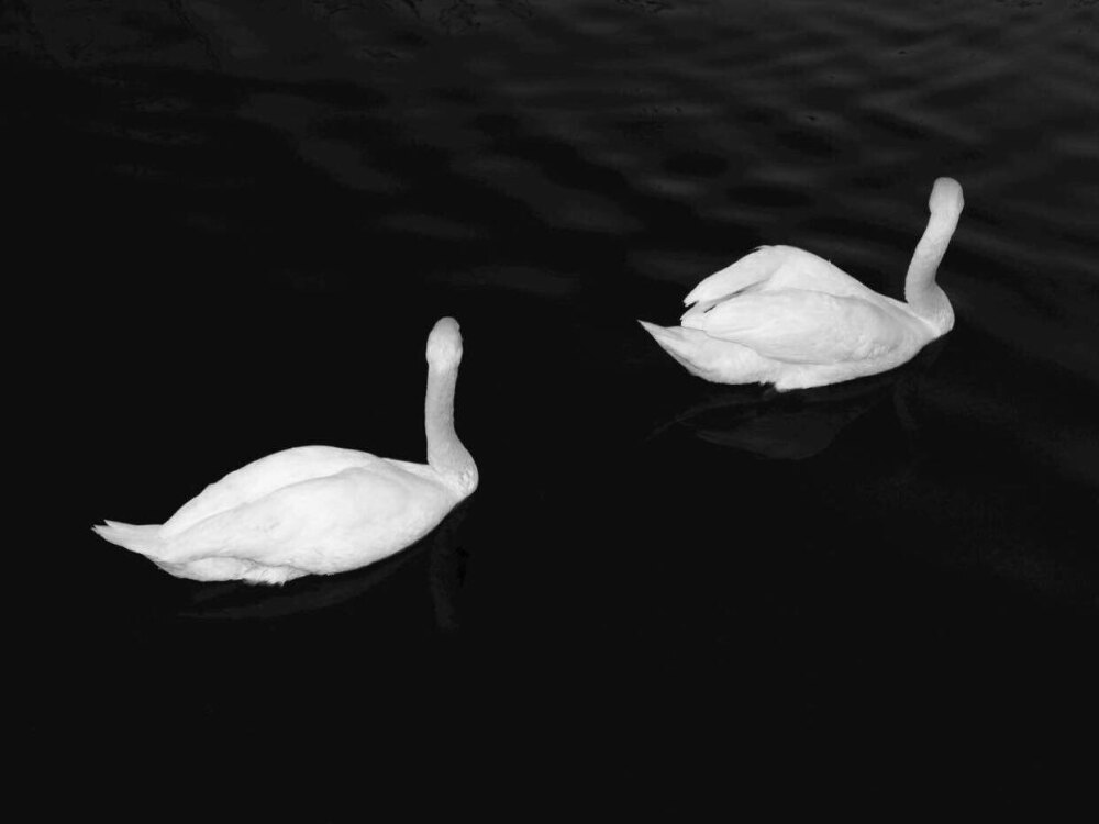 黒ビロードの隅の太陽の光