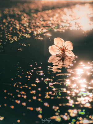 背景