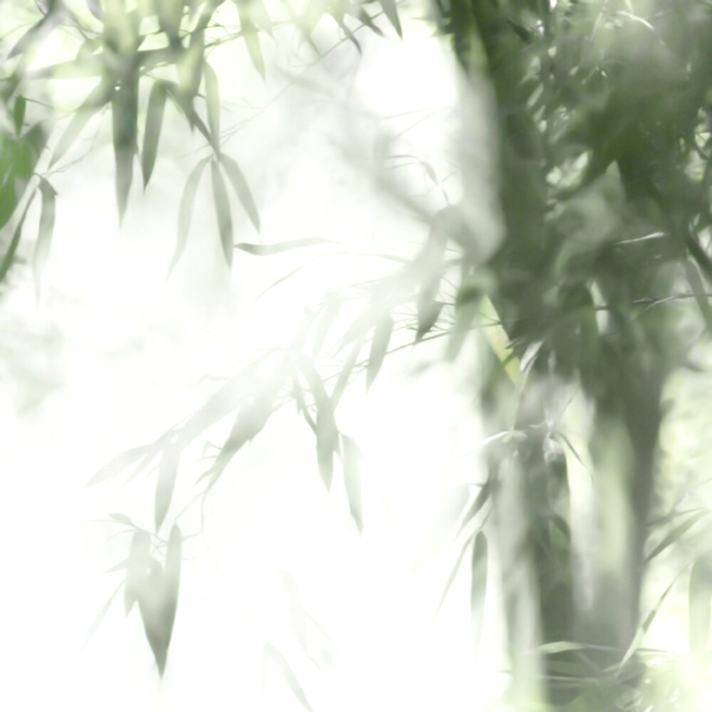 徐徐念不负离离平生
千古同悲 放鸿鸟于飞