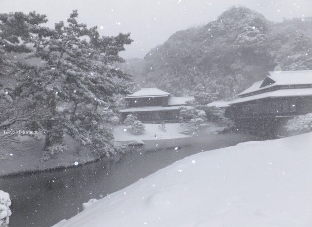 你是北纬67度以北的雪