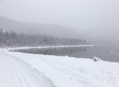 你是北纬67度以北的雪