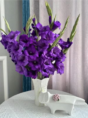 紫色系背景图║紫色花