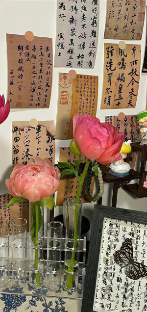 壁纸/꒰ঌ(˚ᆺ˚)໒꒱