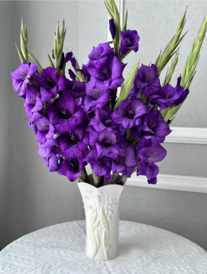 紫色系背景图║紫色花