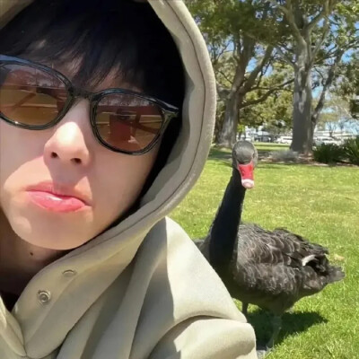 【锦鲤-】男生 头像 自截