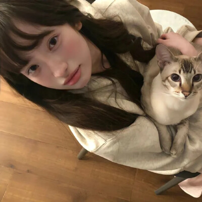 抱猫女头