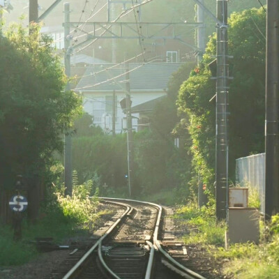 金艺琳套图可二改
注