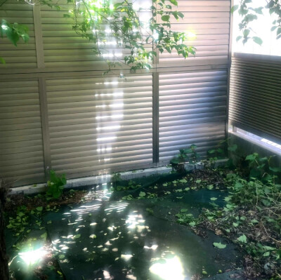 金艺琳套图可二改
注