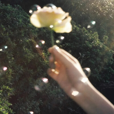 金艺琳套图可二改
注