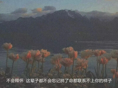 文案，壁纸，文字，背景图