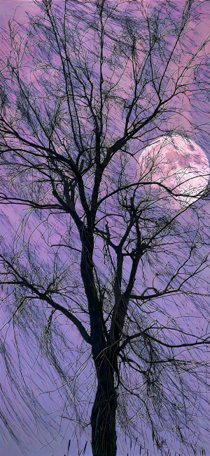 紫色系壁纸·图源微博