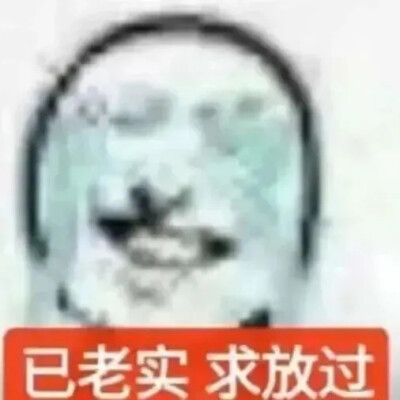 已老实求放过