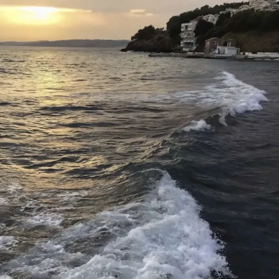 普罗旺斯的夏天，田野的榛果、葡萄架、拂过的微风和薰衣草，木椅上的报纸停留水汽的帽子先生，沾湿裙摆的玫瑰香水，香草碎带回冬的路