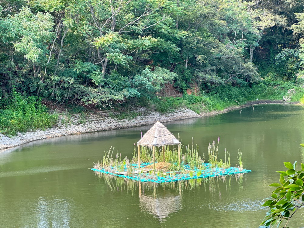 夏日和志同道合的朋友来一次聚会